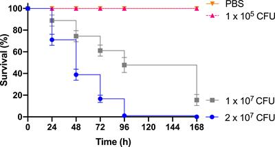 Innate Immune Responses of Galleria mellonella to Mycobacterium bovis BCG Challenge Identified Using Proteomic and Molecular Approaches